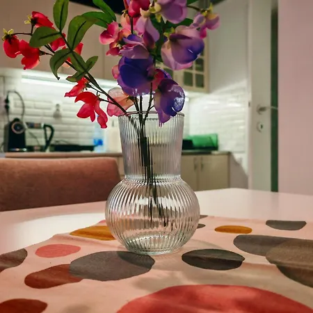 公寓 Savski Trg Stefan Nemanja Waterfront *